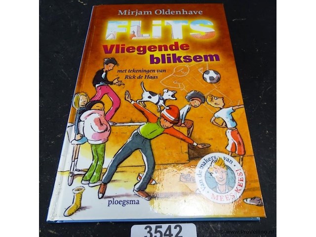 Flits vliegende bliksem - afbeelding 1 van  5