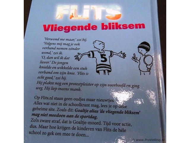 Flits vliegende bliksem - afbeelding 2 van  5