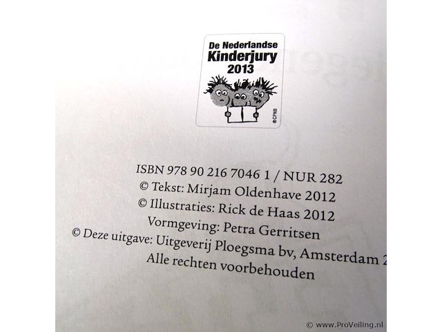 Flits vliegende bliksem - afbeelding 3 van  5