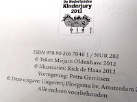 Flits vliegende bliksem - afbeelding 3 van  5