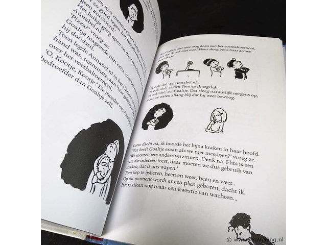 Flits vliegende bliksem - afbeelding 5 van  5