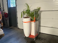 Flora limburg plant met pot ø40x76cm (2x) - afbeelding 2 van  8