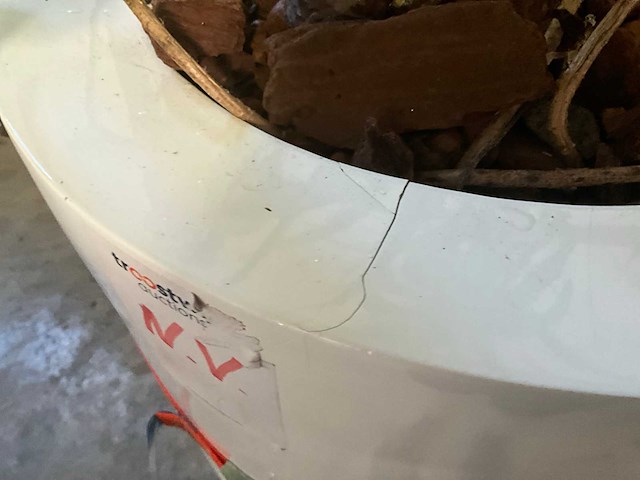 Flora limburg plant met pot ø40x76cm (2x) - afbeelding 5 van  8