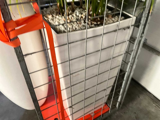 Flora limburg plant met pot ø40x76cm (2x) - afbeelding 8 van  8