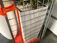 Flora limburg plant met pot ø40x76cm (2x) - afbeelding 8 van  8