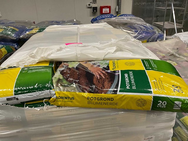 Florentus potgrond - afbeelding 3 van  4