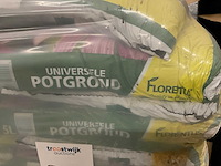 Florentus potgrond - afbeelding 4 van  4