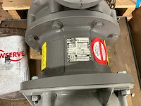 Flowserve pompunit - afbeelding 3 van  4