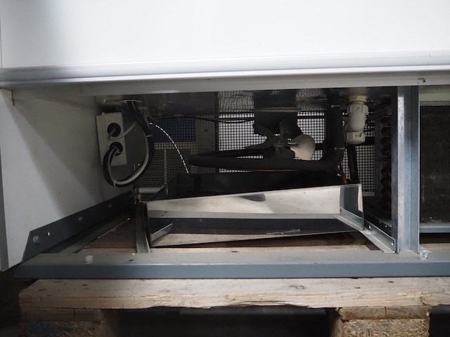 Fogal - afbeelding 6 van  7