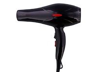 Föhn (437x) - afbeelding 2 van  6