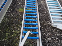 Food technology - afbeelding 3 van  3