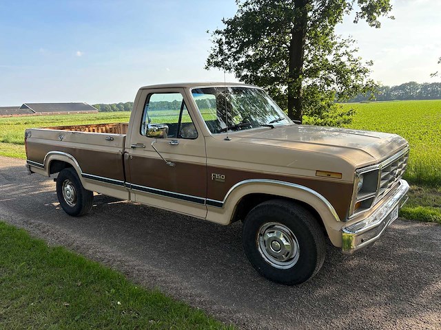 Ford - f150 - oldtimer - afbeelding 21 van  26