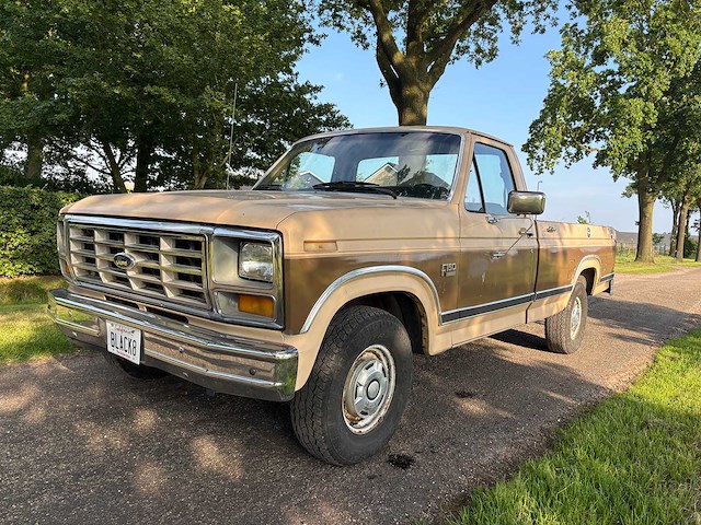 Ford - f150 - oldtimer - afbeelding 25 van  26