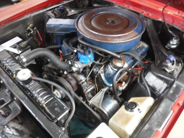 Ford - mustang - oldtimer - afbeelding 79 van  81