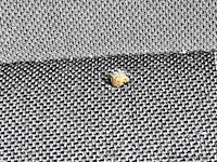 Ford fiesta | kenteken g-280-np - afbeelding 2 van  28