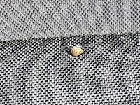 Ford fiesta | kenteken g-280-np - afbeelding 2 van  28