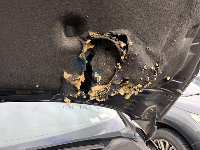 Ford focus sw 1.5 tdci econetic business edition+,2015 - afbeelding 20 van  30