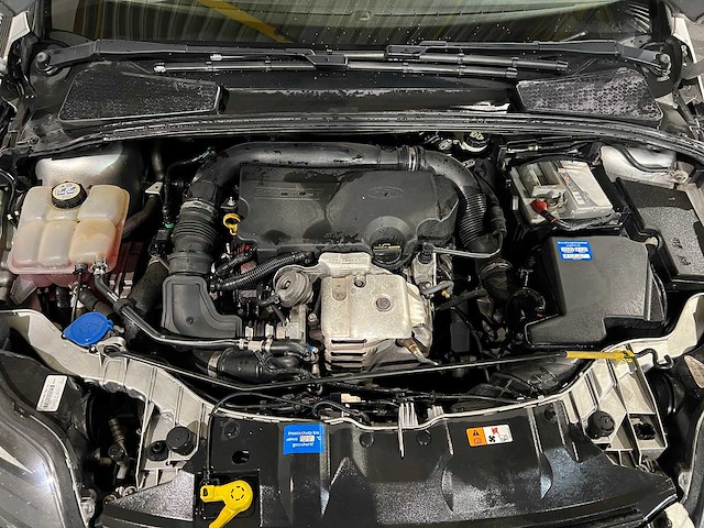 Ford focus wagon 1.0 ecob. titanium, r-263-xg - afbeelding 3 van  12