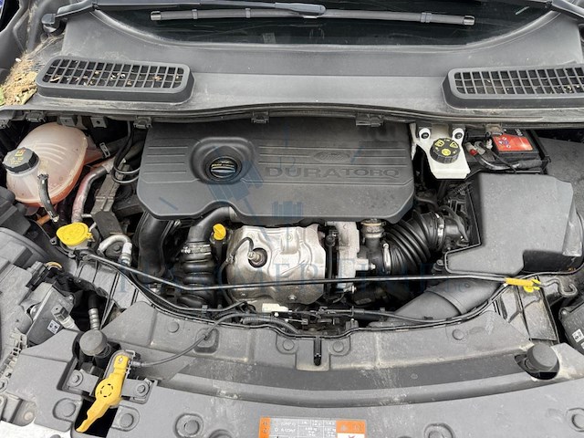 Ford kuga 1.5 tdci eco fwd business class (eu6.2), 2019 - afbeelding 24 van  32