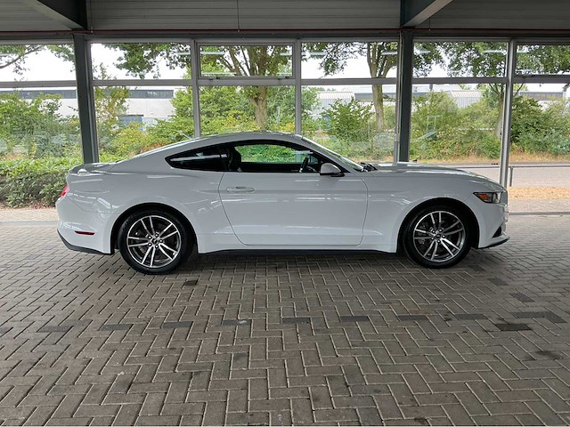 Ford mustang ecoboost premium fastback | 2.3 | 310 pk | 2016 | hid projector koplampen | achteruitrijcamera | btw auto - afbeelding 2 van  30