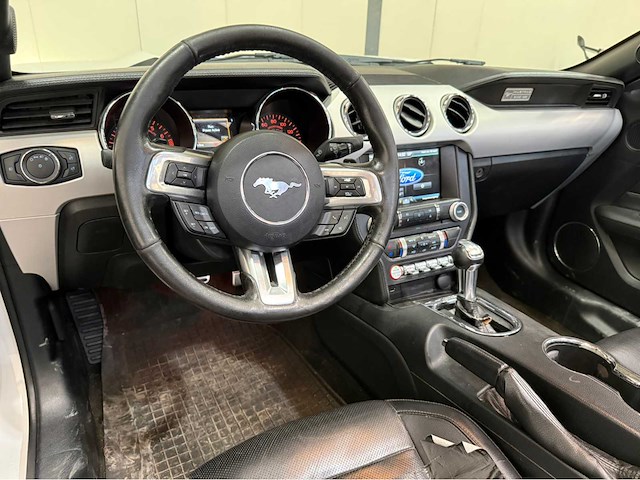 Ford usa - mustang vi -cabriolet - 330 pk ecoboost - personenauto - 2015 - afbeelding 2 van  11