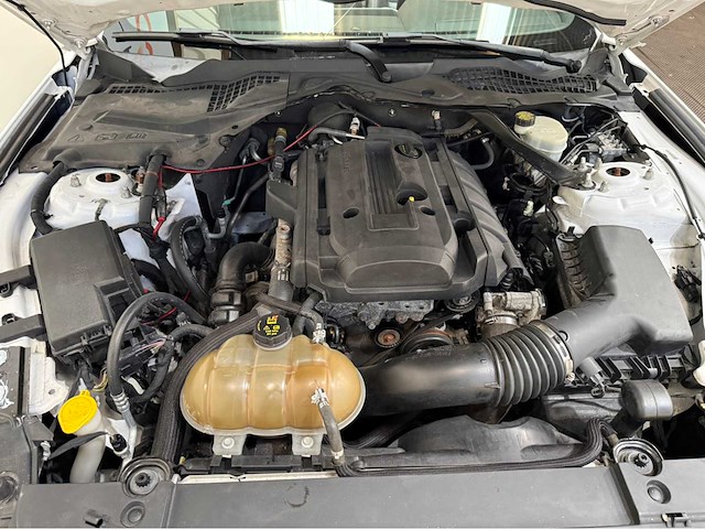 Ford usa - mustang vi -cabriolet - 330 pk ecoboost - personenauto - 2015 - afbeelding 4 van  11