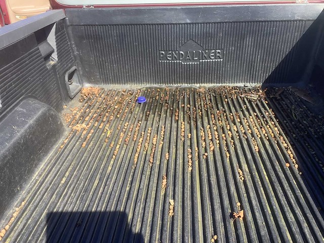 Ford usa f150 5.4 supercab bedrijfswagen - afbeelding 7 van  17