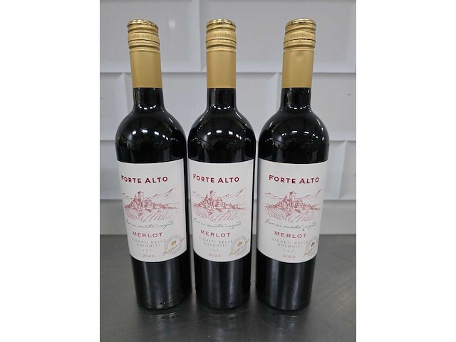 Forte alto merlot 2023 rode wijn fles (14x) - afbeelding 2 van  4