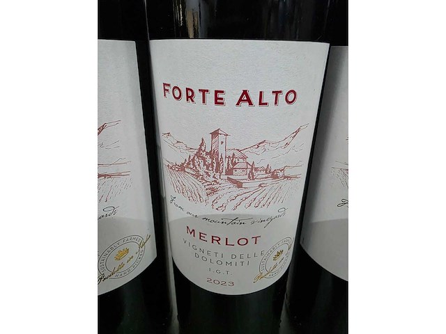 Forte alto merlot 2023 rode wijn fles (14x) - afbeelding 3 van  4
