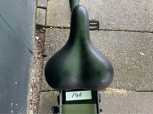 Forza - florance verde - elektrische fiets - afbeelding 4 van  12