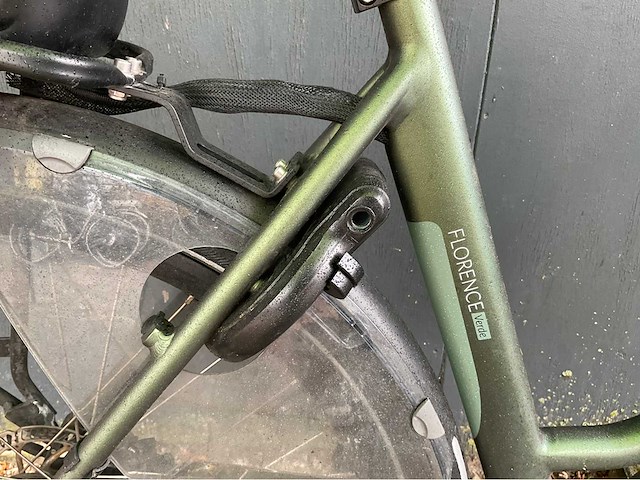Forza - florance verde - elektrische fiets - afbeelding 10 van  12