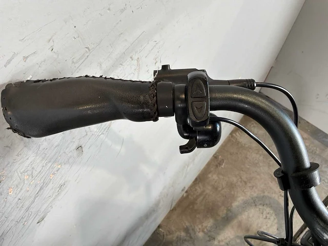 Forza elektrische fiets - afbeelding 3 van  12