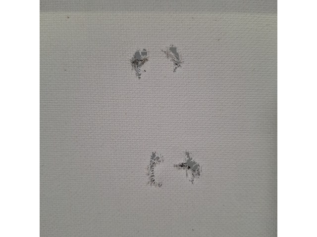 Foto afbeelding op houten frame - afbeelding 6 van  6