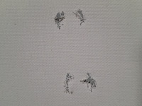 Foto afbeelding op houten frame - afbeelding 6 van  6