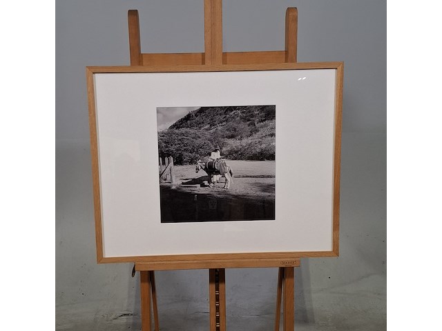 Foto in lijst, willem van de poll, bonaire, knoekoe - afbeelding 1 van  6