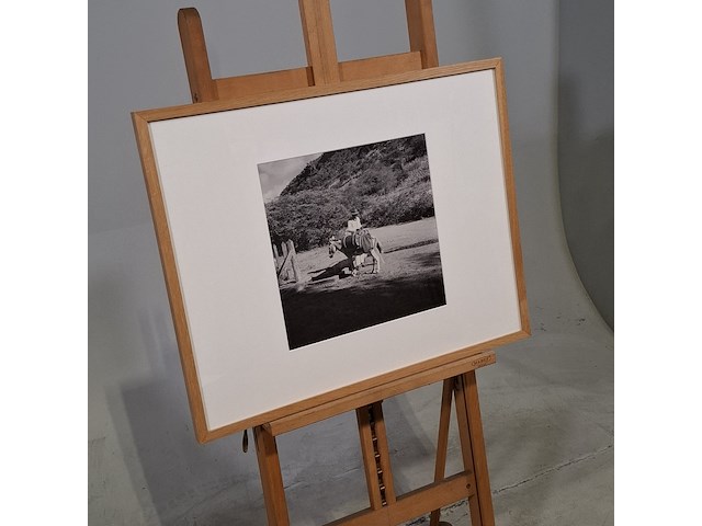 Foto in lijst, willem van de poll, bonaire, knoekoe - afbeelding 2 van  6