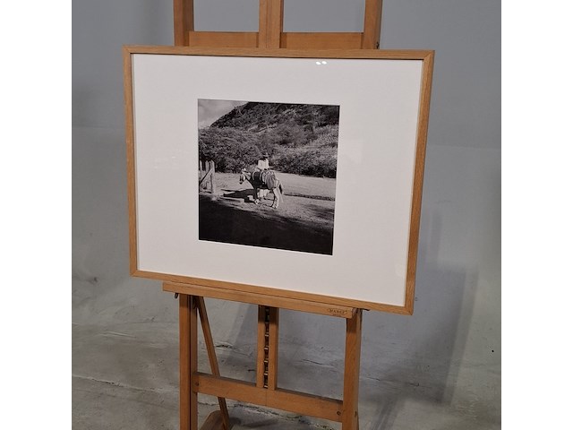 Foto in lijst, willem van de poll, bonaire, knoekoe - afbeelding 3 van  6