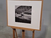 Foto in lijst, willem van de poll, bonaire, knoekoe - afbeelding 3 van  6
