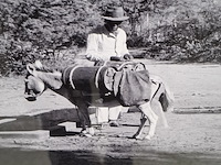 Foto in lijst, willem van de poll, bonaire, knoekoe - afbeelding 4 van  6