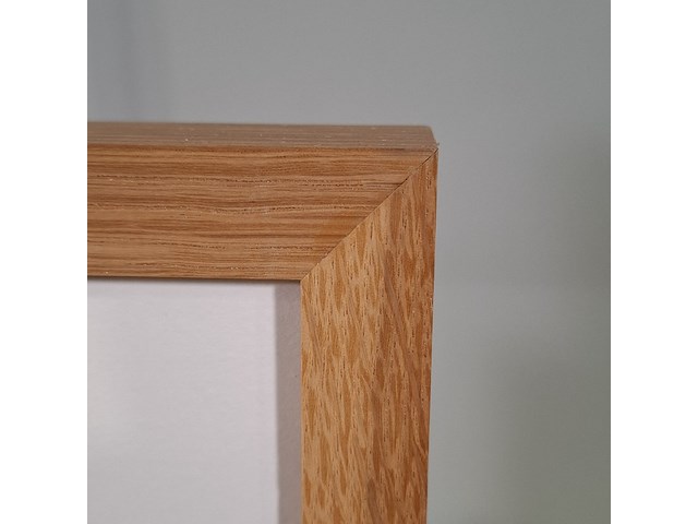 Foto in lijst, willem van de poll, bonaire, knoekoe - afbeelding 5 van  6