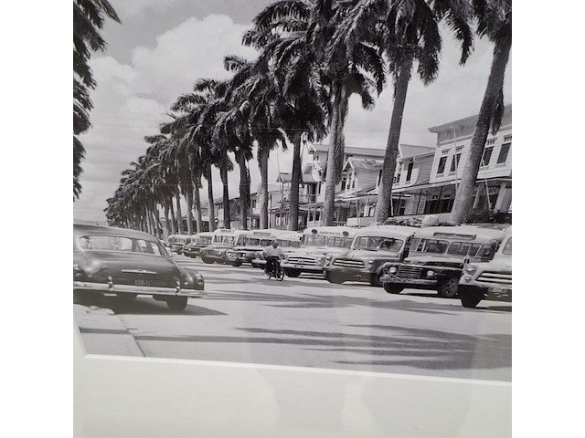 Foto in lijst, willem van de poll, jodenbreestraat, paramaribo - afbeelding 4 van  6