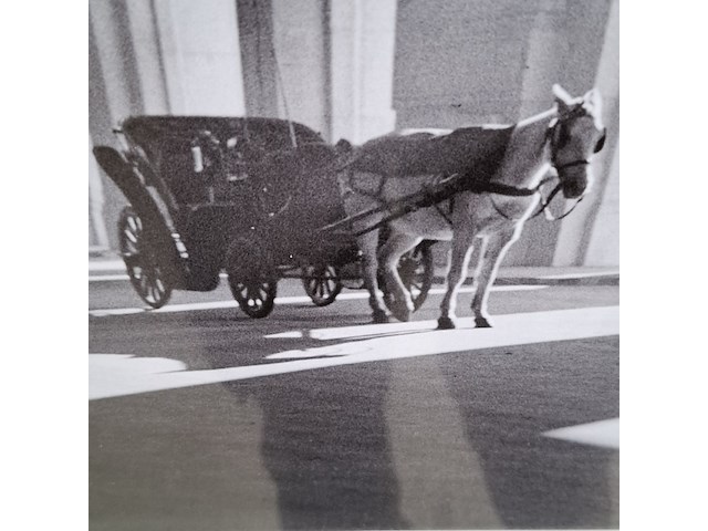 Foto in lijst, willem van de poll, paardenkoets bij het centraal station van milaan, 1936 - afbeelding 4 van  7