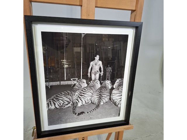 Foto in lijst - afbeelding 1 van  5