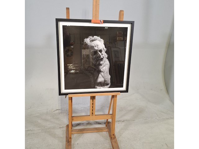 Foto in lijst - afbeelding 1 van  6