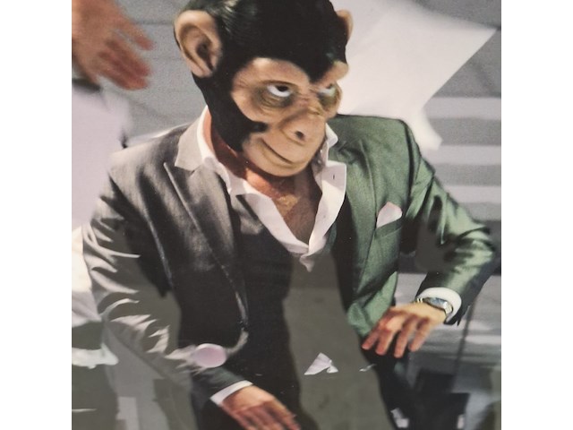 Foto in lijst - afbeelding 4 van  6