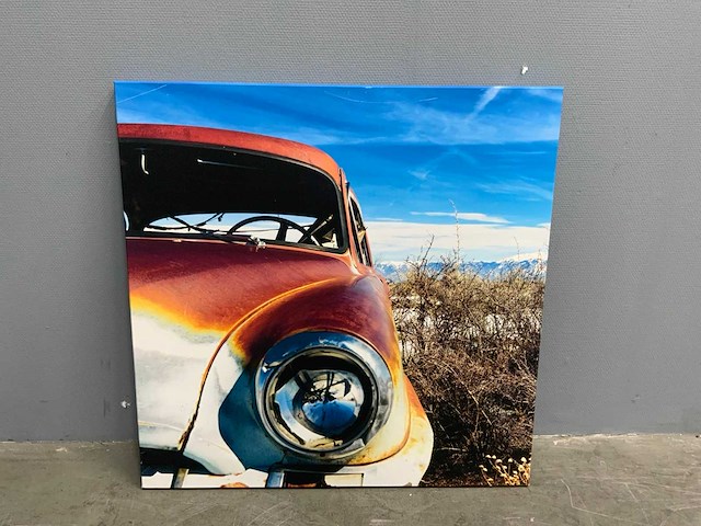Foto op canvas (2x) - afbeelding 2 van  7