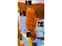 Foto op dibond arte levare ‘rotterdam’ - afbeelding 2 van  4