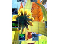 Foto op dibond arte levare ‘rotterdam’ - afbeelding 3 van  4