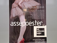 Foto op dibond, martin pyper, assepoester, het nationale ballet - afbeelding 1 van  5