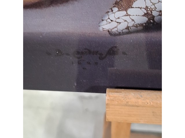 Foto op dibond, reproductie van balthasar van der ast, stilleven met vruchten en bloemen - afbeelding 5 van  6